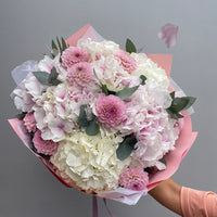 Dahlia x Hydrangea