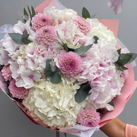Dahlia x Hydrangea
