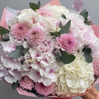 Dahlia x Hydrangea