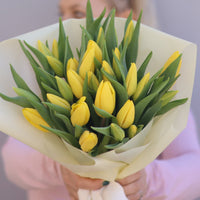 Tulips yellow