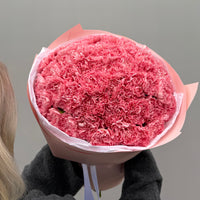 Carnation Dream