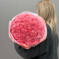 Carnation Dream