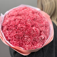 Carnation Dream