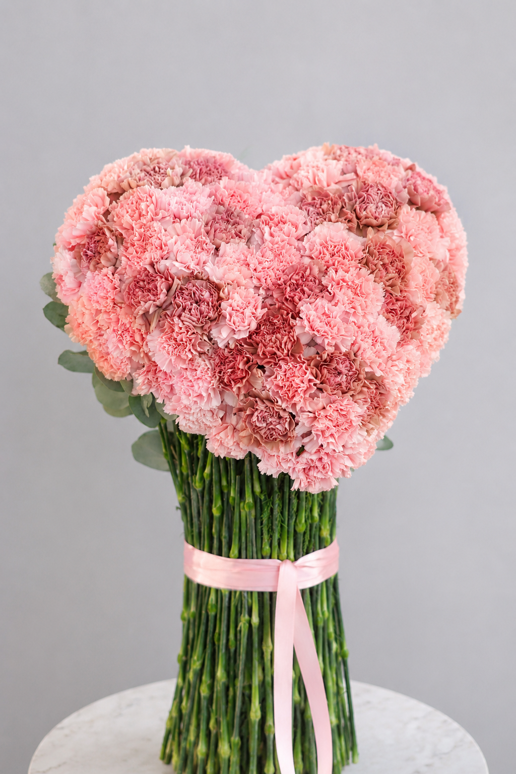 AmoréaxCarnation