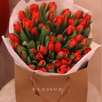 Tulip Rouge