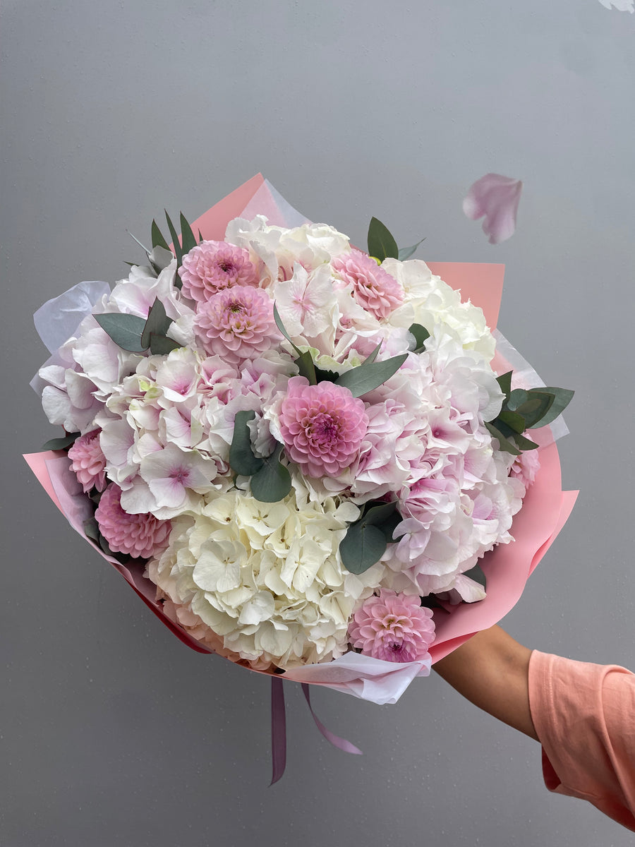 Dahlia x Hydrangea