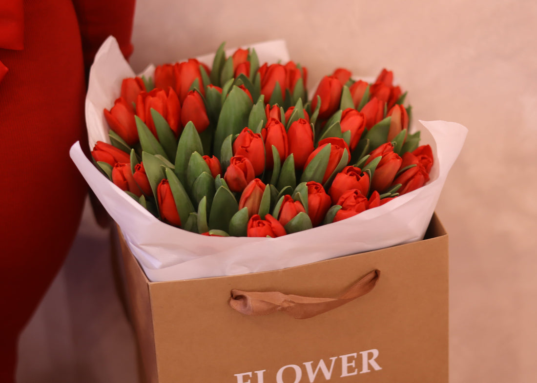 Tulip Rouge