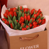 Tulip Rouge