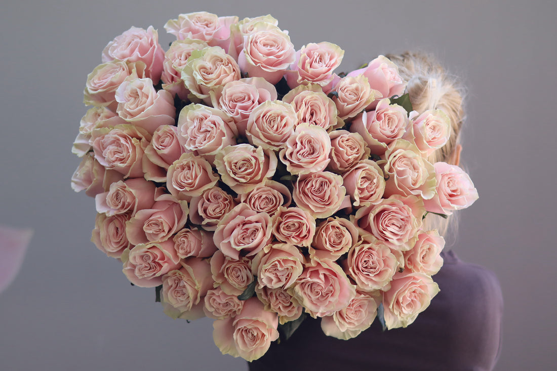 Rosen Pink Mondial