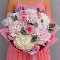 Dahlia x Hydrangea