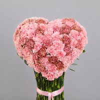 AmoréaxCarnation