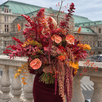 Beauty of Autumn