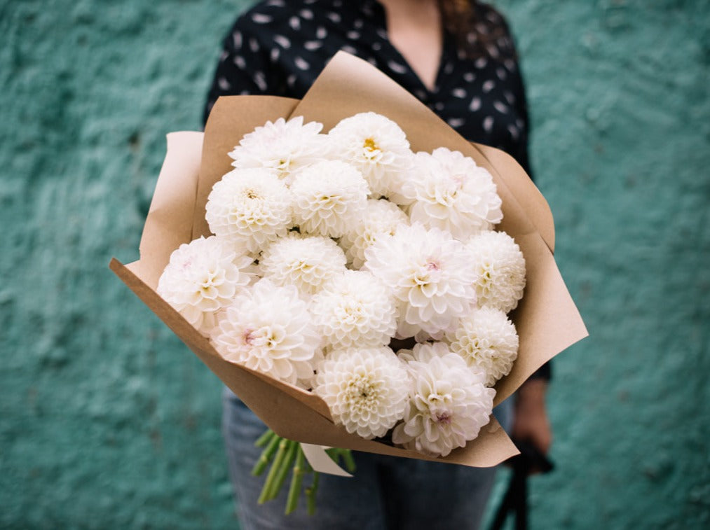 Dahlia Bouquet white